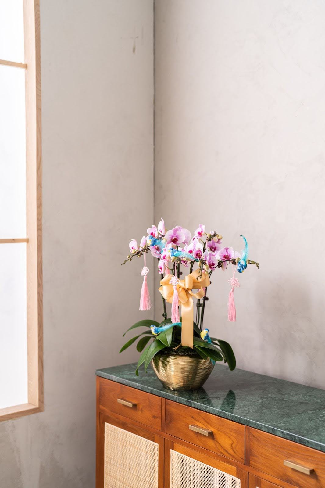 orchid flower